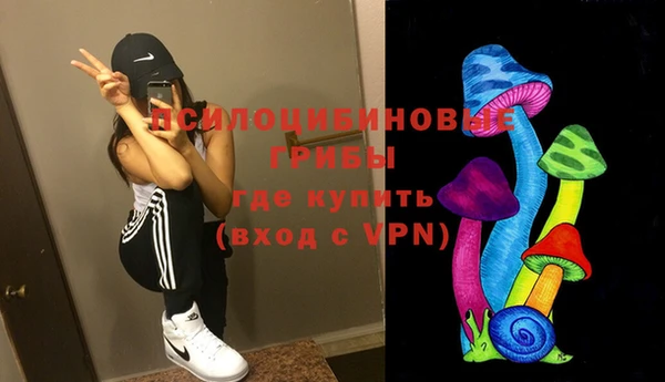 MDMA Богородицк
