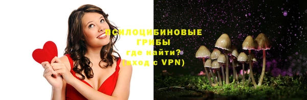 мдма Богданович