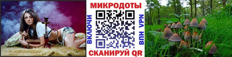 даркнет как зайти  Улан-Удэ  Псилоцибиновые грибы MAGIC MUSHROOMS  как найти закладки 